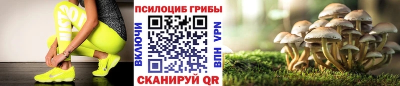 Галлюциногенные грибы мицелий Никольское